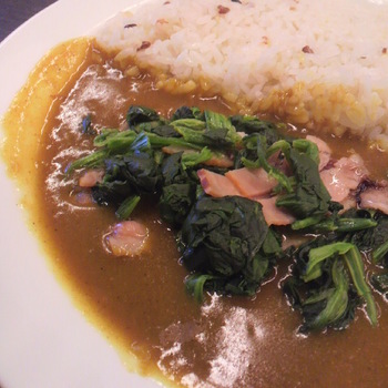 curry20131229.jpg